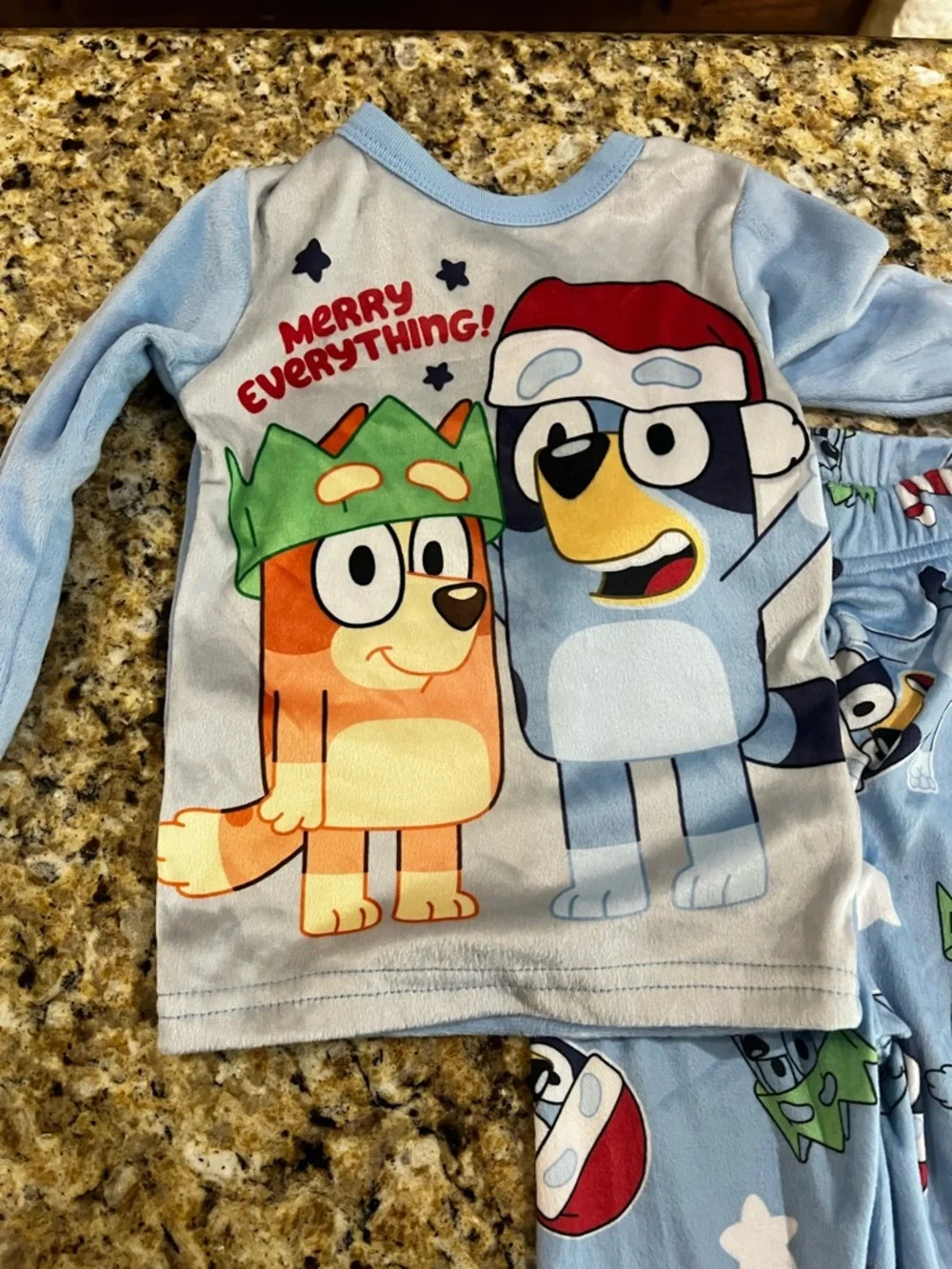 New - Bluey Christmas Pajama Set | Size 2T | Merry Everything! | Nordstrom